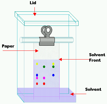 Image of a chromatography diagram.